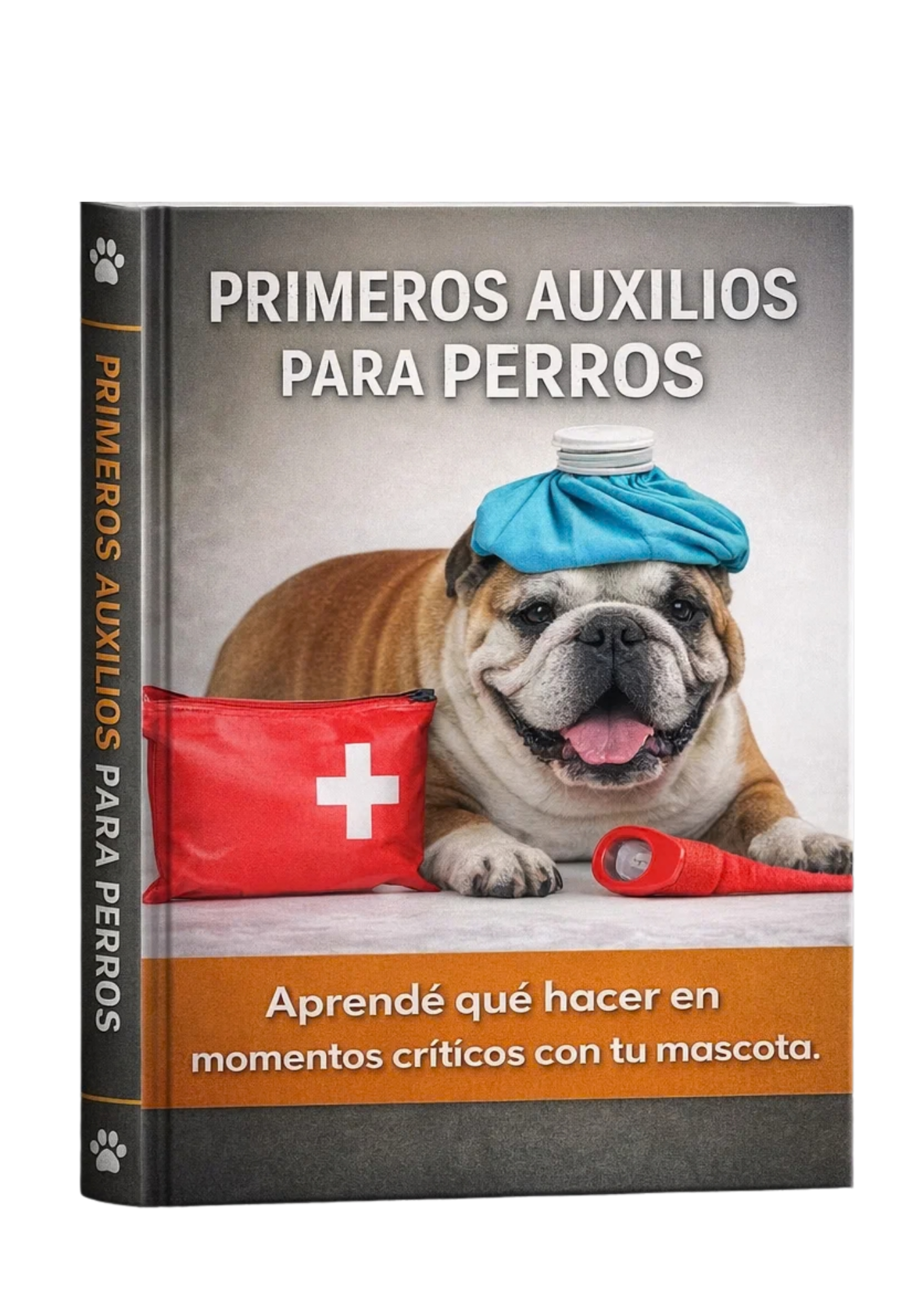 PRIMEROS AUXILIOS PARA PERROS